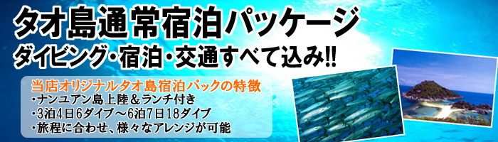 ナンユアン島経由 タオ島宿泊パッケージ