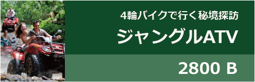 ジャングルATV