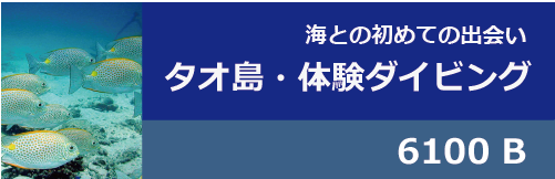 タオ島・体験ダイビング