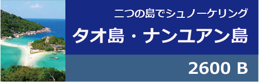 タオ島・ナンユアン島シュノーケリングツアー